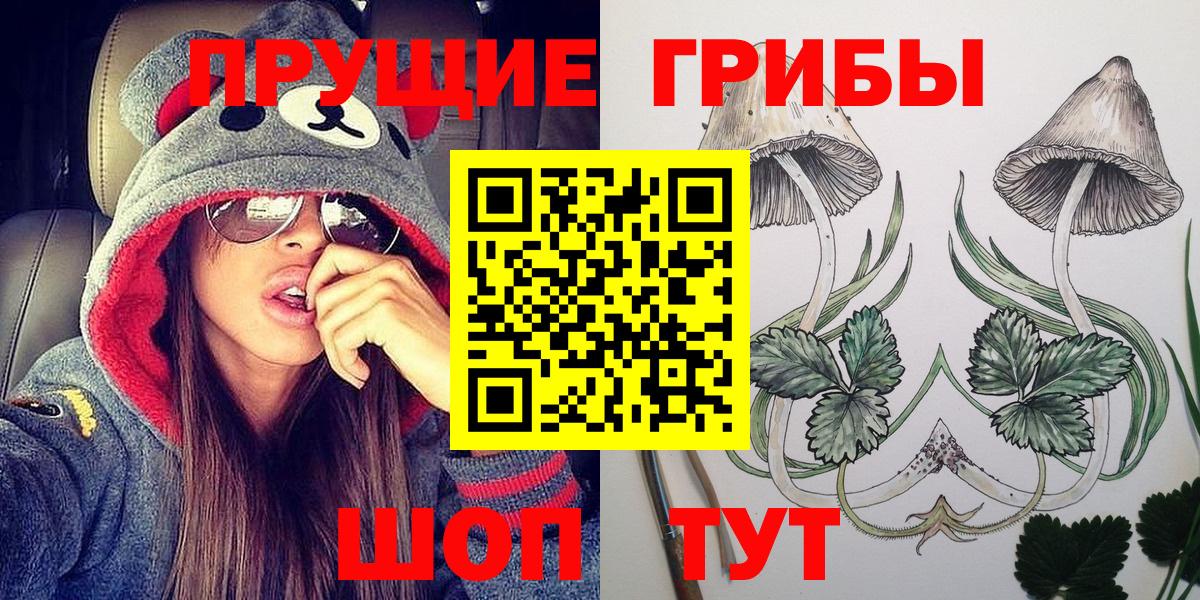 Галлюциногенные грибы Psilocybe  сколько стоит  Псилоцибиновые грибы мухоморы  Новоалександровск  Вход с VPN 